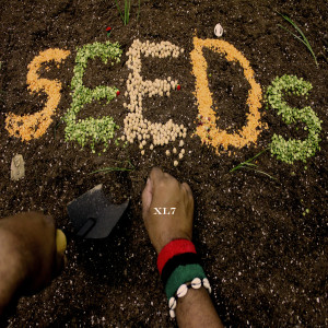 Album Seeds from XL7