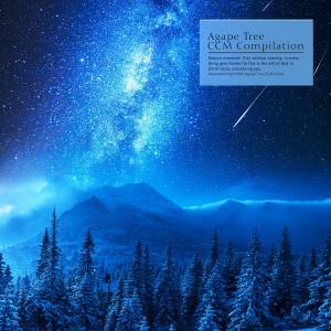 Album Relaxation Night With Agape Tree (CCM Piano) from Korea Various Artists