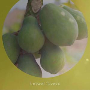 อัลบัม Farewell Several ศิลปิน Various Artists