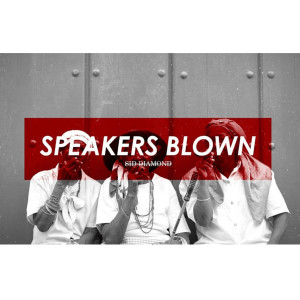 收聽Sid Diamond的Speakers Blown歌詞歌曲