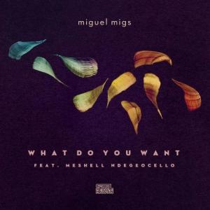 收聽Miguel Migs的What Do You Want (feat. Meshell Ndegeocello) [Migs Salted Vocal] (Migs Salted Vocal)歌詞歌曲