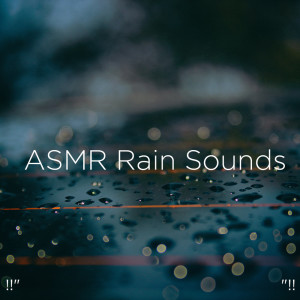 ดาวน์โหลดและฟังเพลง Sons Anti-Stress พร้อมเนื้อเพลงจาก Rain Sounds