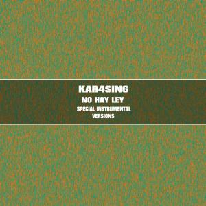 No Hay Ley (Special Instrumental Versions)