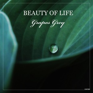 ดาวน์โหลดและฟังเพลง Beauty of Life พร้อมเนื้อเพลงจาก Grapes Grey
