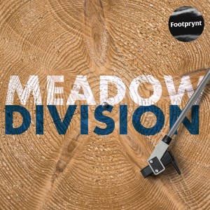 Dengarkan Division (Explicit) lagu dari M e a d o w dengan lirik