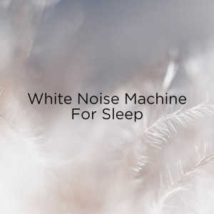 收聽BodyHI的Sleep Ocean & White Noise歌詞歌曲
