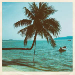 Dengarkan lagu Brazilero nyanyian Saib. dengan lirik