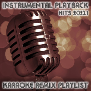 Various Artists的专辑Instrumental Playback Hits (Karaoke Remix Playlist 2023.1)