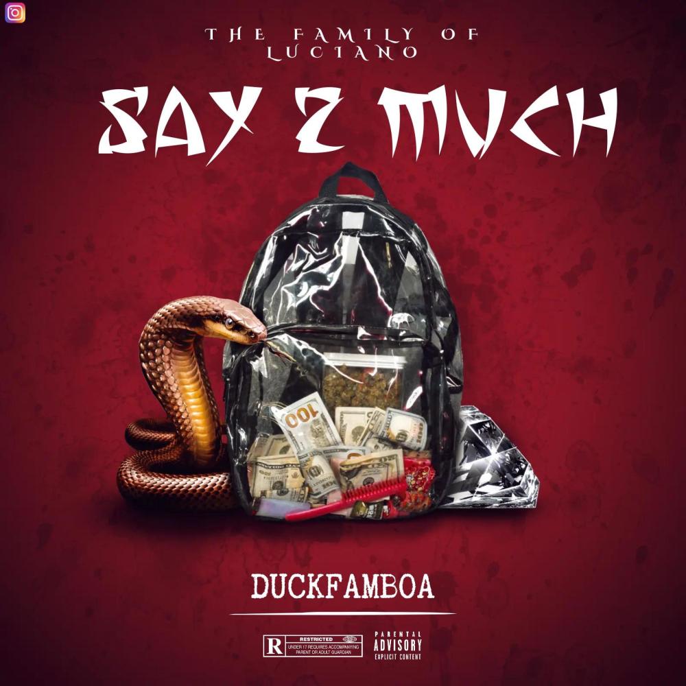 Say 2 Much (feat. DuckFamBoa) (Explicit)