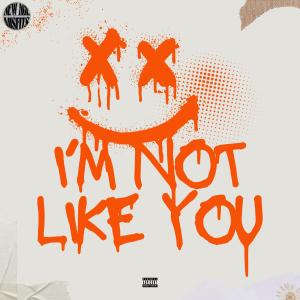 Ryan Xena的專輯I'm Not Like You (Explicit)