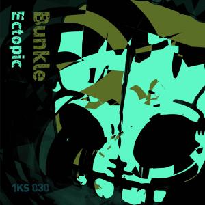 Listen to Ectopic song with lyrics from Bunkle