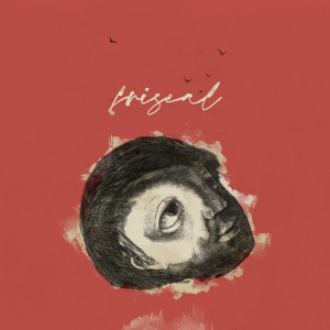 ดาวน์โหลดและฟังเพลง Midnight Haze พร้อมเนื้อเพลงจาก Friseal