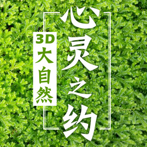 收听马喆的窗边的月亮歌词歌曲