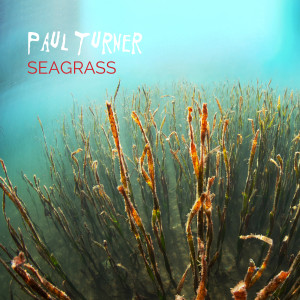 Paul Turner的專輯Seagrass