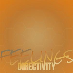 Various Artists的專輯Feelings Directivity