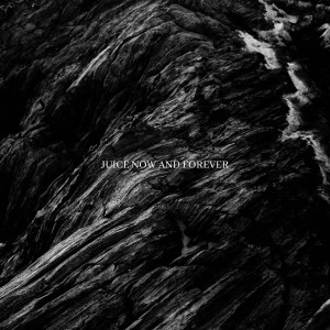 อัลบัม Juice Now And Forever (Extra Juices Deluxe) ศิลปิน juicyFlail Collective
