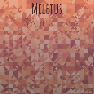 Dengarkan lagu Miletus Grenadine nyanyian Emra Cido dengan lirik