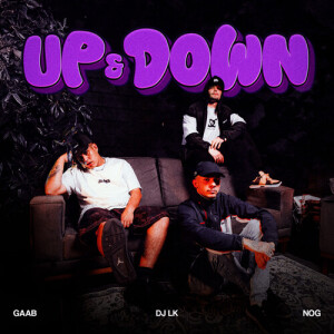 Up & Down (Explicit) dari DJ LK