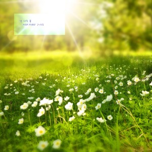 Album 아가의 감성발달과 심신 안정을 위한 피아노 자장가 - 넌 나의 꿈 from HIGH PIANO