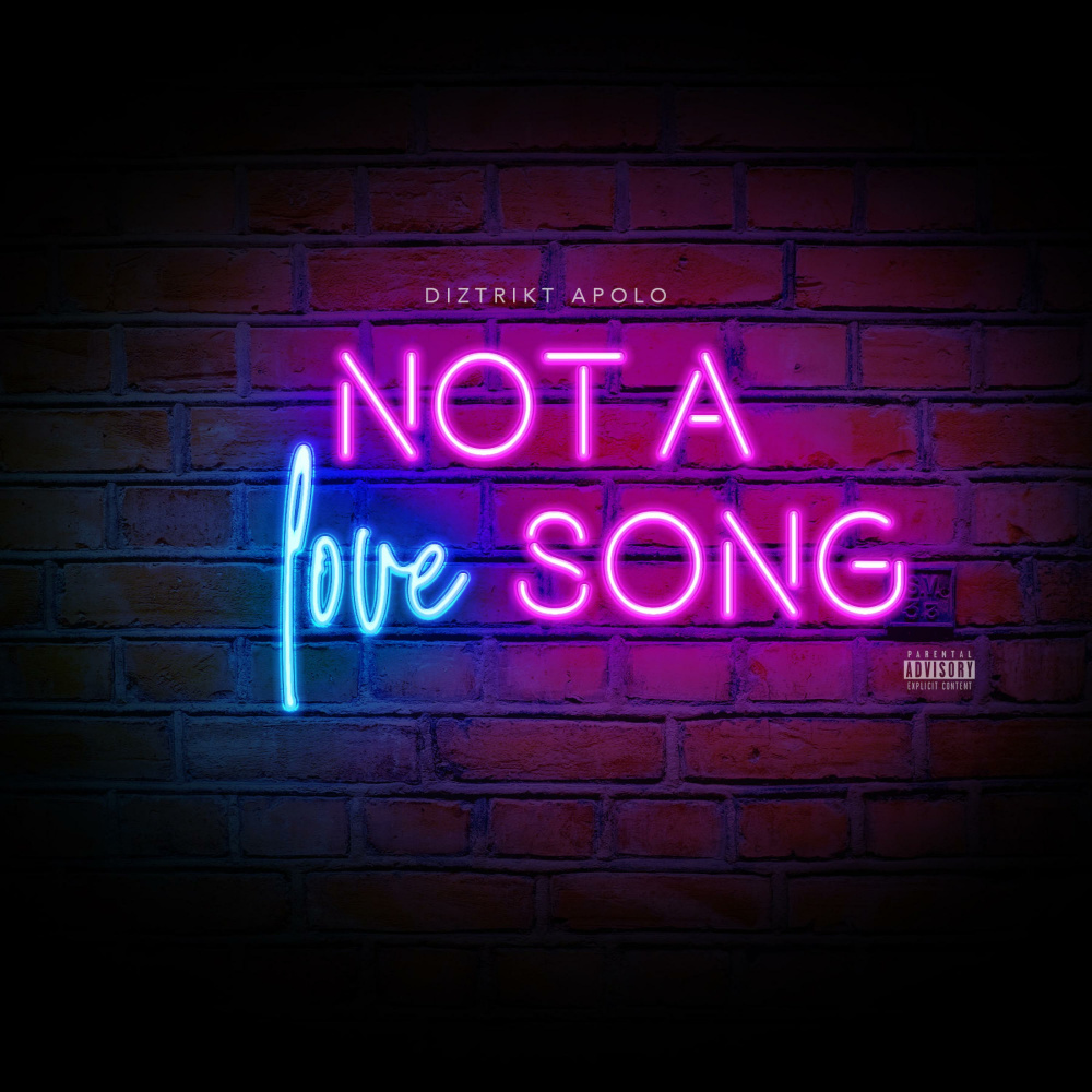Not a Love Song (Explicit)