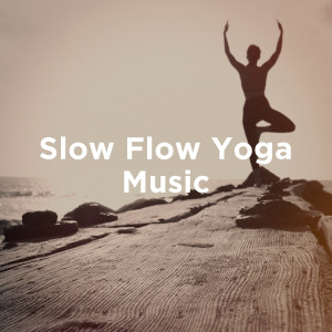 Album Slow Flow Yoga Music from Various Artists