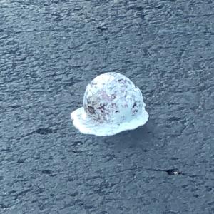 ดาวน์โหลดและฟังเพลง life. (Explicit) พร้อมเนื้อเพลงจาก hythloday