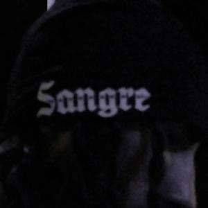 Album DON’T be DUMb (Explicit) from Sangre