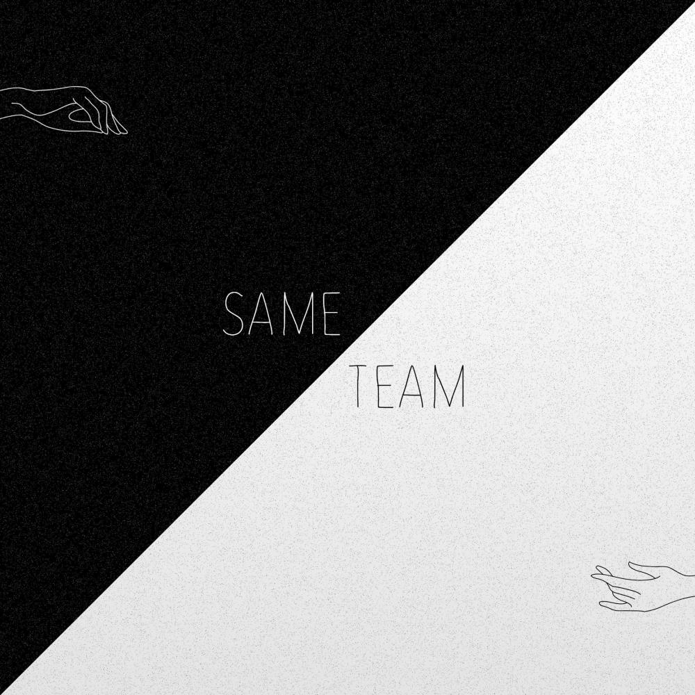 Same Team (Fighting)
