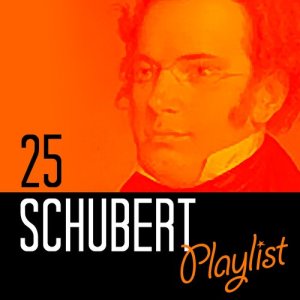 ดาวน์โหลดและฟังเพลง Piano Trio No. 1 in B-Flat Major, Op. 99, D.898: IV. Rondo-Allegro vivace (其他) พร้อมเนื้อเพลงจาก Franz Seraphicus Peter Schubert