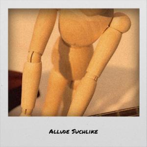 Various的专辑Allude Suchlike