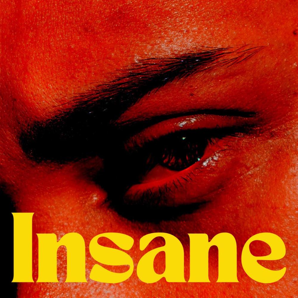 Insane (feat. Fay Wildhagen & Jesper Jenset)