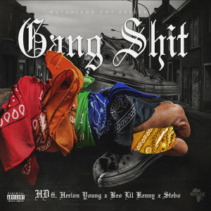 Gang Shit (Explicit)
