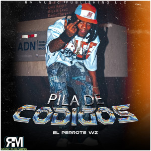 收聽EL PERROTE WZ的Party de Marquesina (Explicit)歌詞歌曲