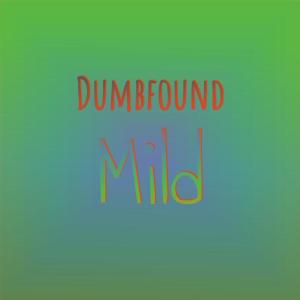 Album Dumbfound Mild oleh Various