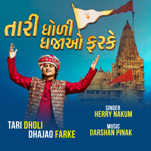 Listen to Tari Dholi Dhajao Farke song with lyrics from Herry Nakum