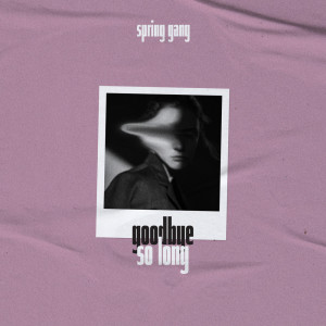 Album Goodbye so Long from spring gang