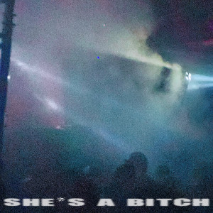 Album She's a Bitch (Explicit) from Arthur The Grey