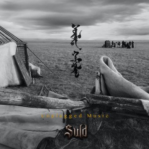 Listen to 青湖-Unplugged (完整版) song with lyrics from 战旗乐队SULD