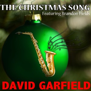 ดาวน์โหลดและฟังเพลง The Christmas Song (Instrumental Version) พร้อมเนื้อเพลงจาก David Garfield
