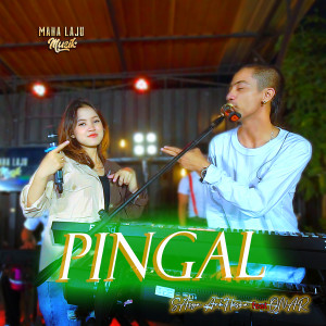 Listen to Pingal song with lyrics from Sasya Arkhisna