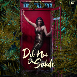 Album Dil Nai De Sakde from Savina