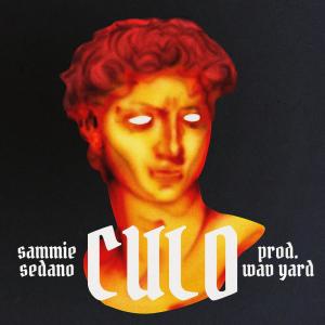 ดาวน์โหลดและฟังเพลง Culo (Explicit) พร้อมเนื้อเพลงจาก Sammie Sedano