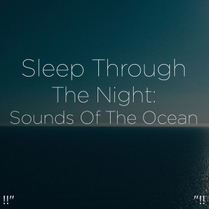 Dengarkan Ocean Sounds To Relax lagu dari Ocean Sounds dengan lirik