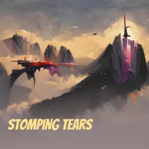 Asep的專輯Stomping Tears