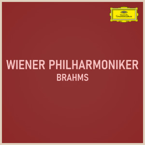 收聽維也納愛樂樂團的Brahms: Symphony No. 3 in F Major, Op. 90 - 1. Allegro con brio - Un poco sostenuto - Tempo I (Live At Musikverein, Vienna / 1990)歌詞歌曲