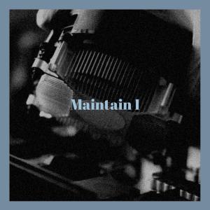 Album Maintain I from 