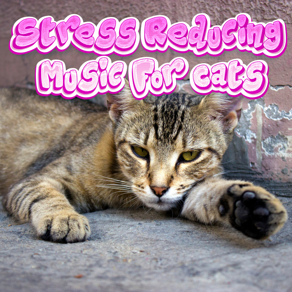 Gentle Songs for Kittens