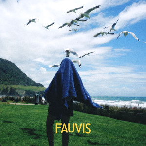 อัลบัม ดีต่อใจ (D tor jai) ศิลปิน Fauvis