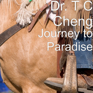 Listen to Journey to Paradise song with lyrics from Dr. T C Cheng