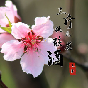 Dengarkan lagu 三斤桃花酿成酒 nyanyian 王沫 dengan lirik